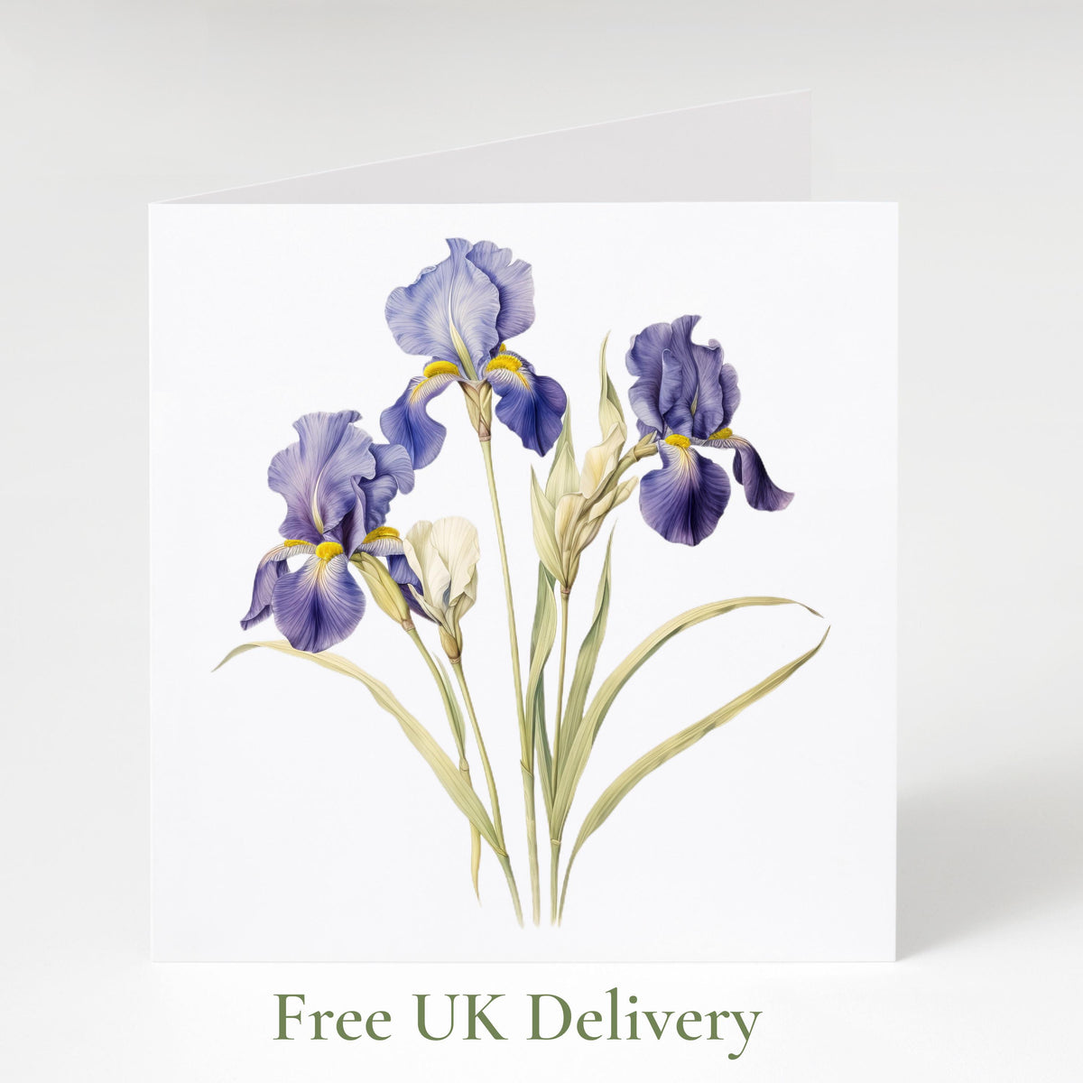 Flower Card Bundle, English Watercolour Stationery Set, Blue Hydrangea