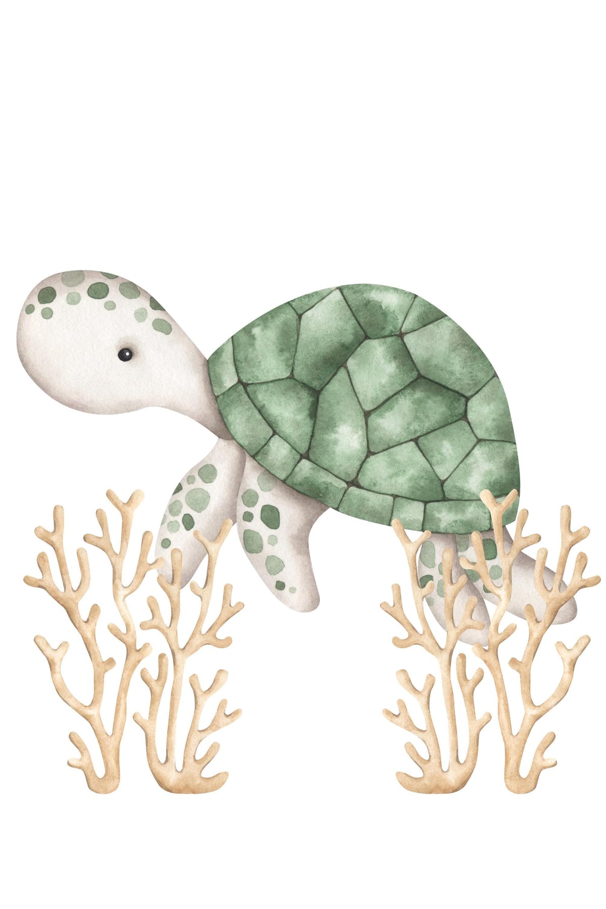 Marine Note Cards, Set Of 3 Watercolor Octopus, Turtle And Seahorse Designs