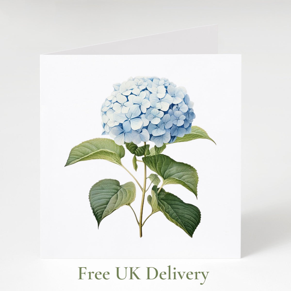 Flower Card Bundle, English Watercolour Stationery Set, Blue Hydrangea