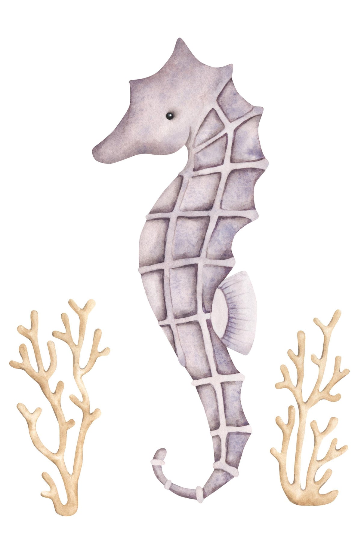 Marine Note Cards, Set Of 3 Watercolor Octopus, Turtle And Seahorse Designs