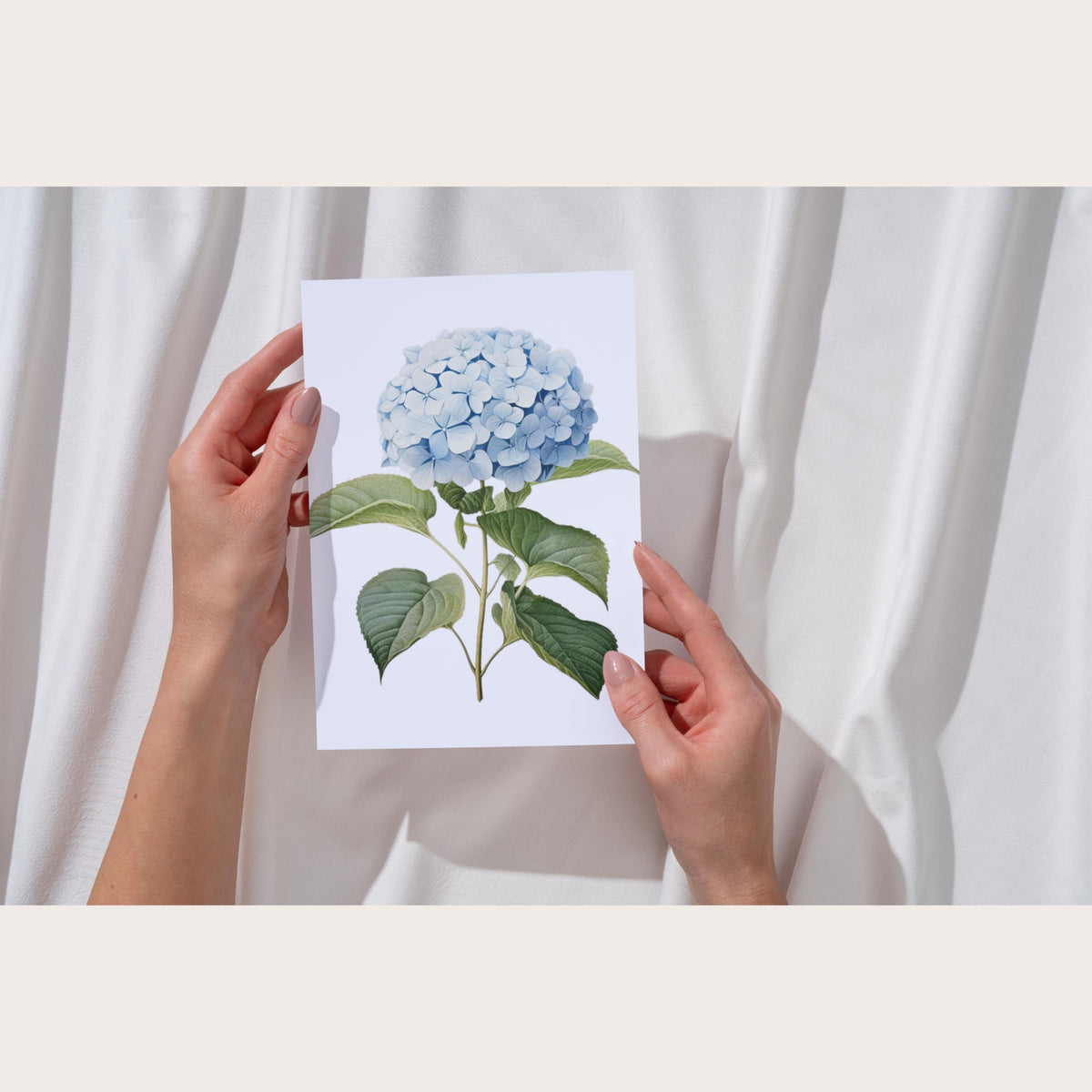 Flower Card Bundle, English Watercolour Stationery Set, Blue Hydrangea