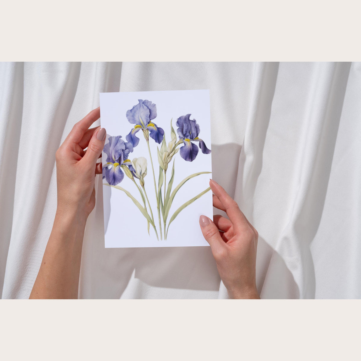 Flower Card Bundle, English Watercolour Stationery Set, Blue Hydrangea